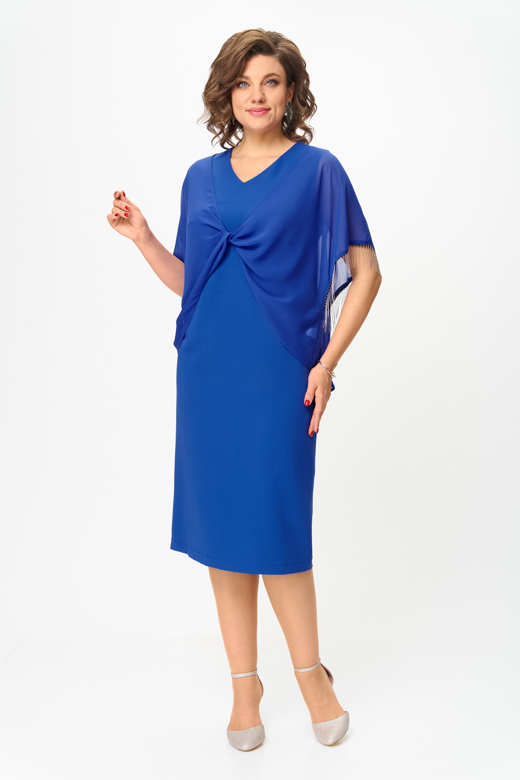 1293 василёк 2