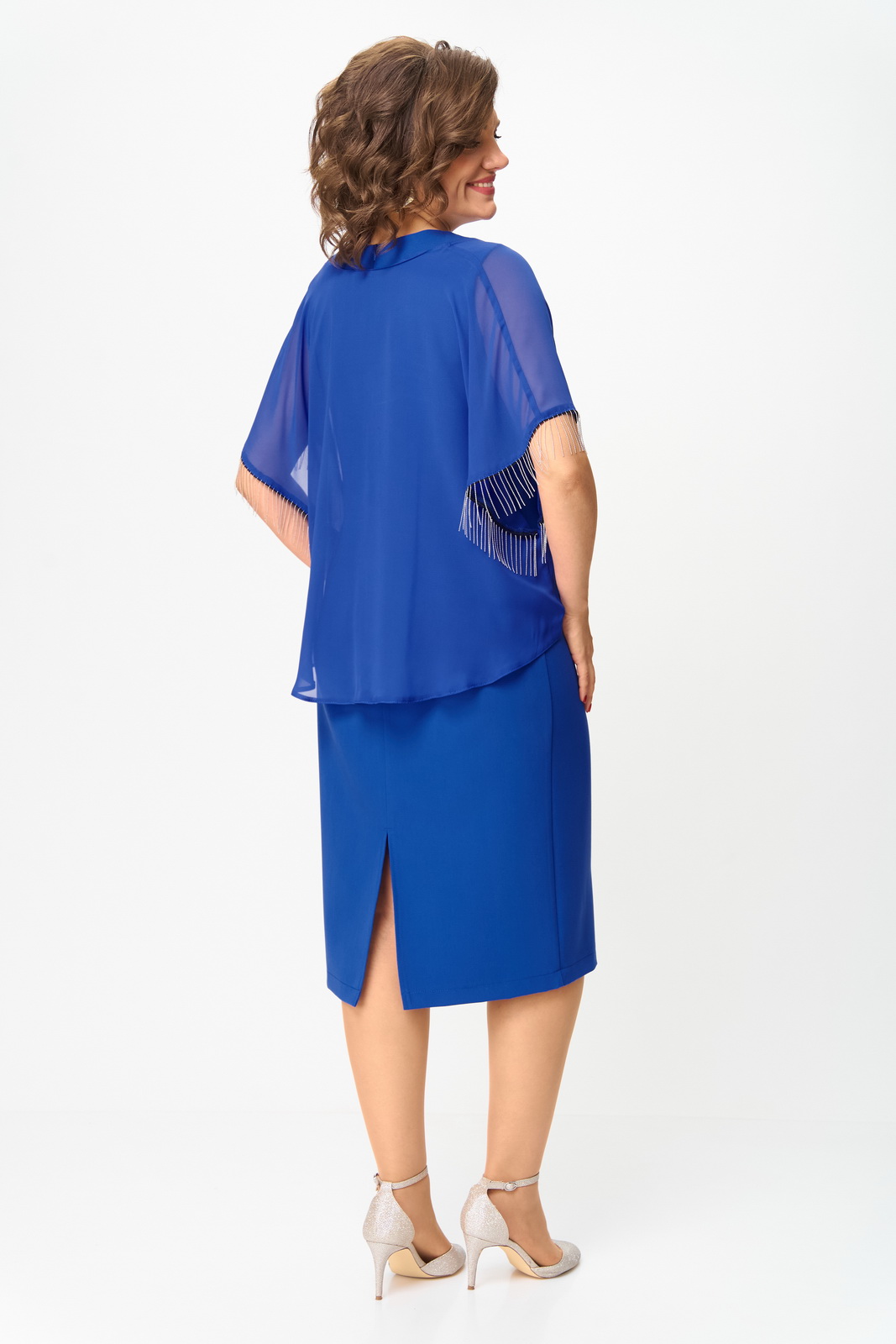 1293 василёк 4