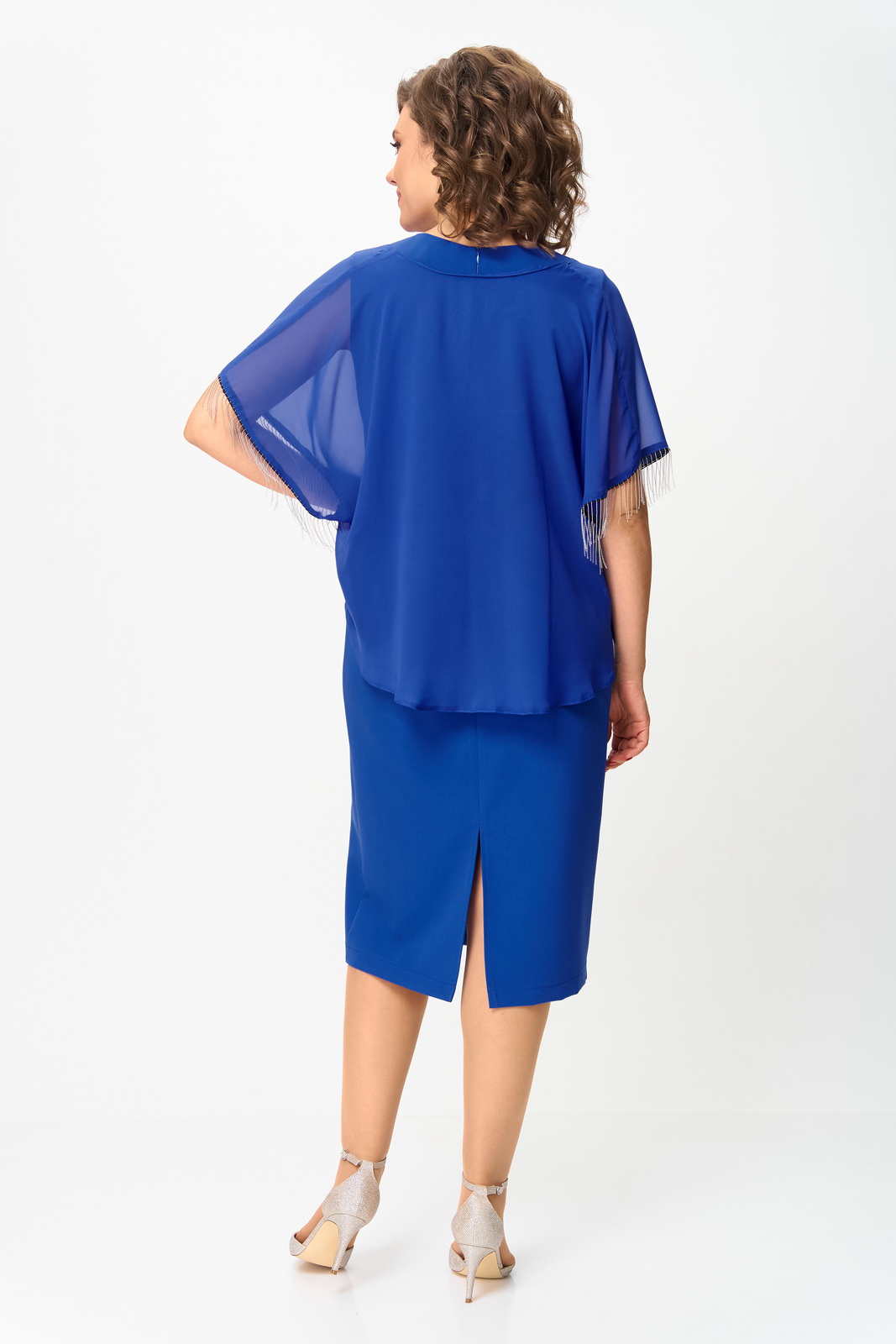 1293 василёк 5