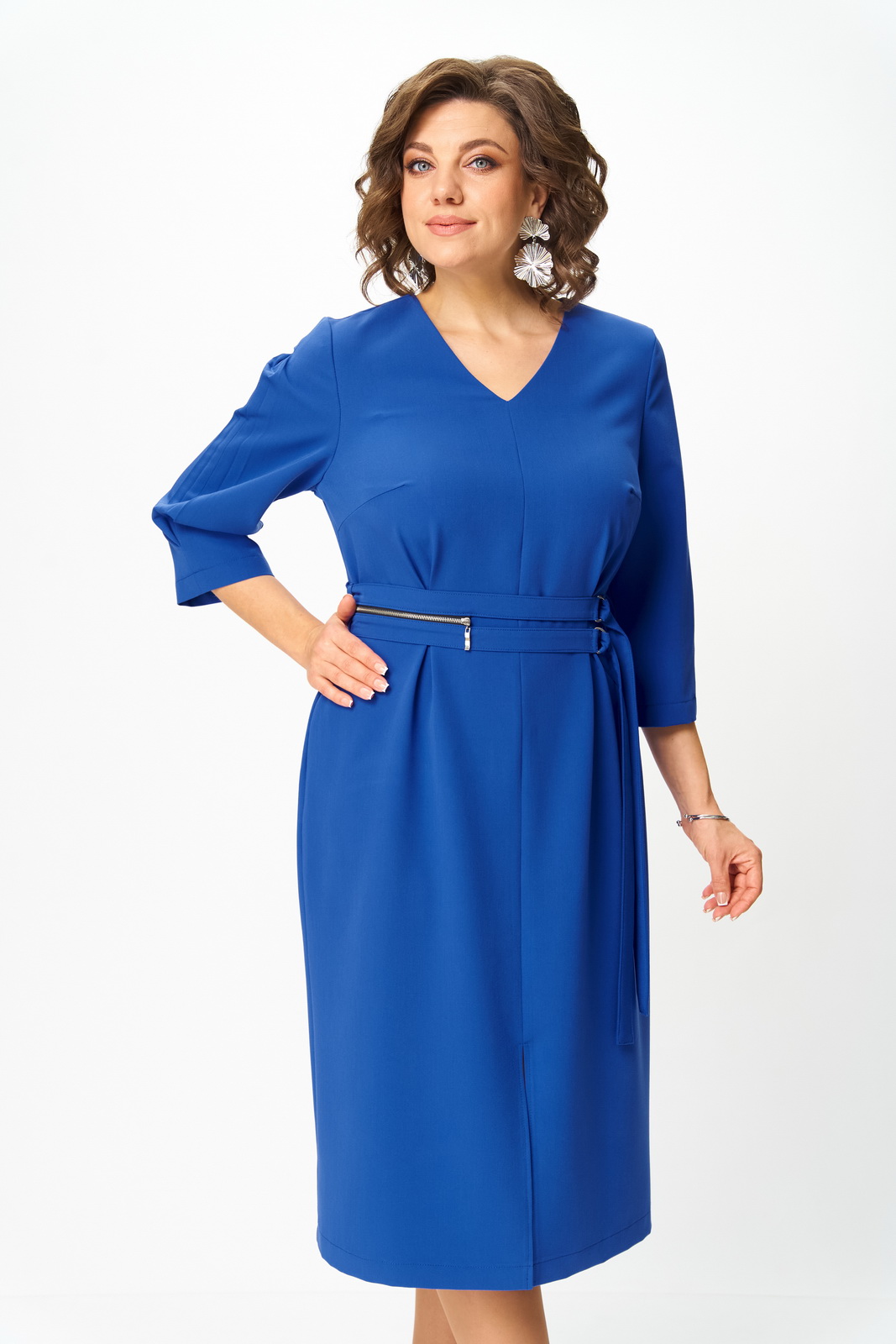 1294 василёк 6