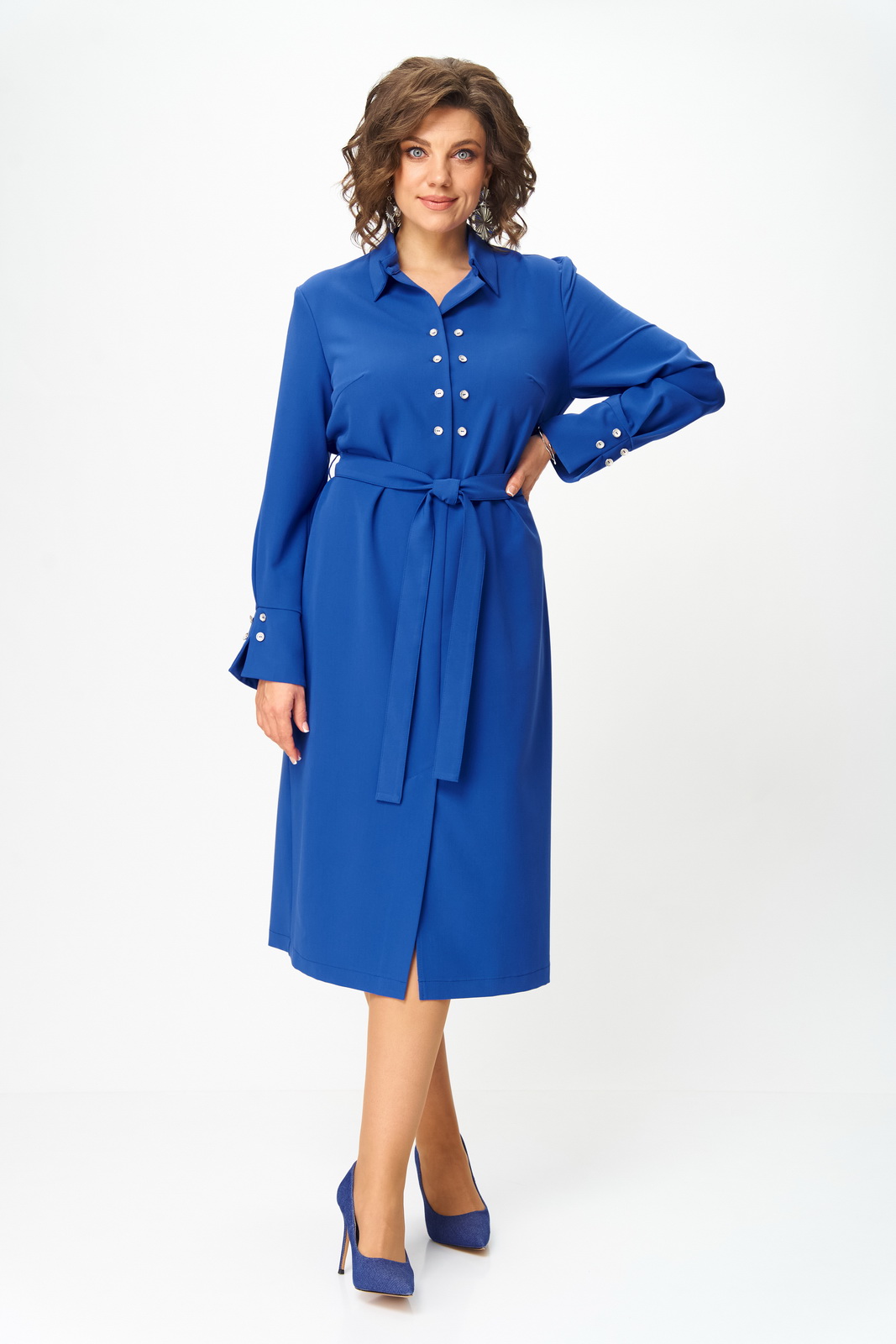 1296 василёк 2